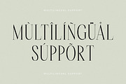 Rastofi Modern Ligature Serif, a Serif Font by Letterena Studios (Thumbnail 12 of 15)
