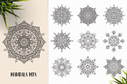 530 Vector Mandala Ornaments, an Animal Illustration by pixaroma (Thumbnail 44 of 55)