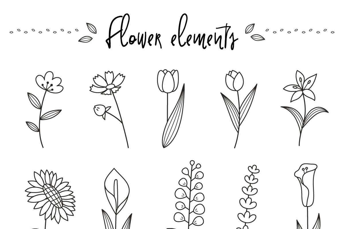 Flower elements, an Object Graphic by Pinkbrush