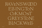 The Ashcombe Hall Oldstyle Serif, a Serif Font by CarmineType (Thumbnail 2 of 24)