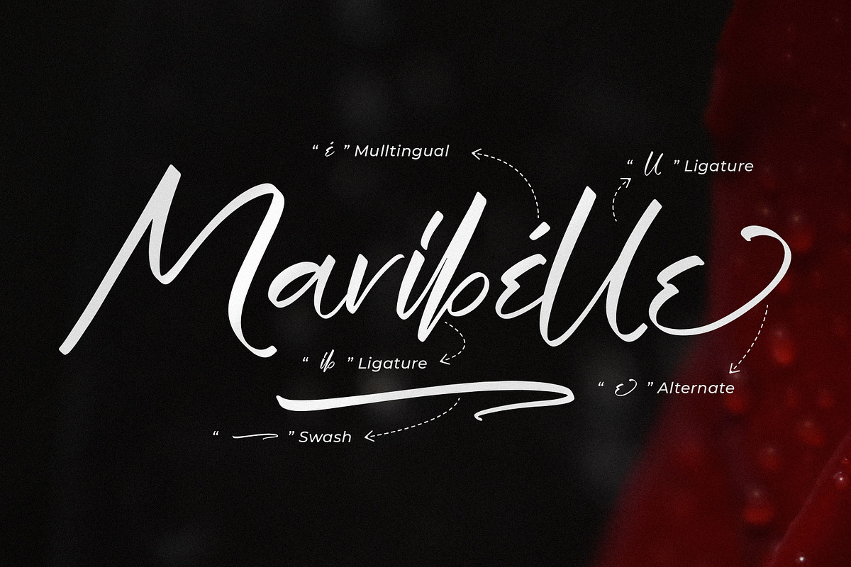 Wegirose, a Script Font by Integritype Studio (Photo 14 of 15)