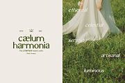 Auralithea - Luxury Sans Display, a Sans Serif Font by Indotype Foundry (Thumbnail 9 of 10)
