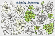 Festive Florals, a Seasonal Illustration by melissadn (Thumbnail 9 of 14)