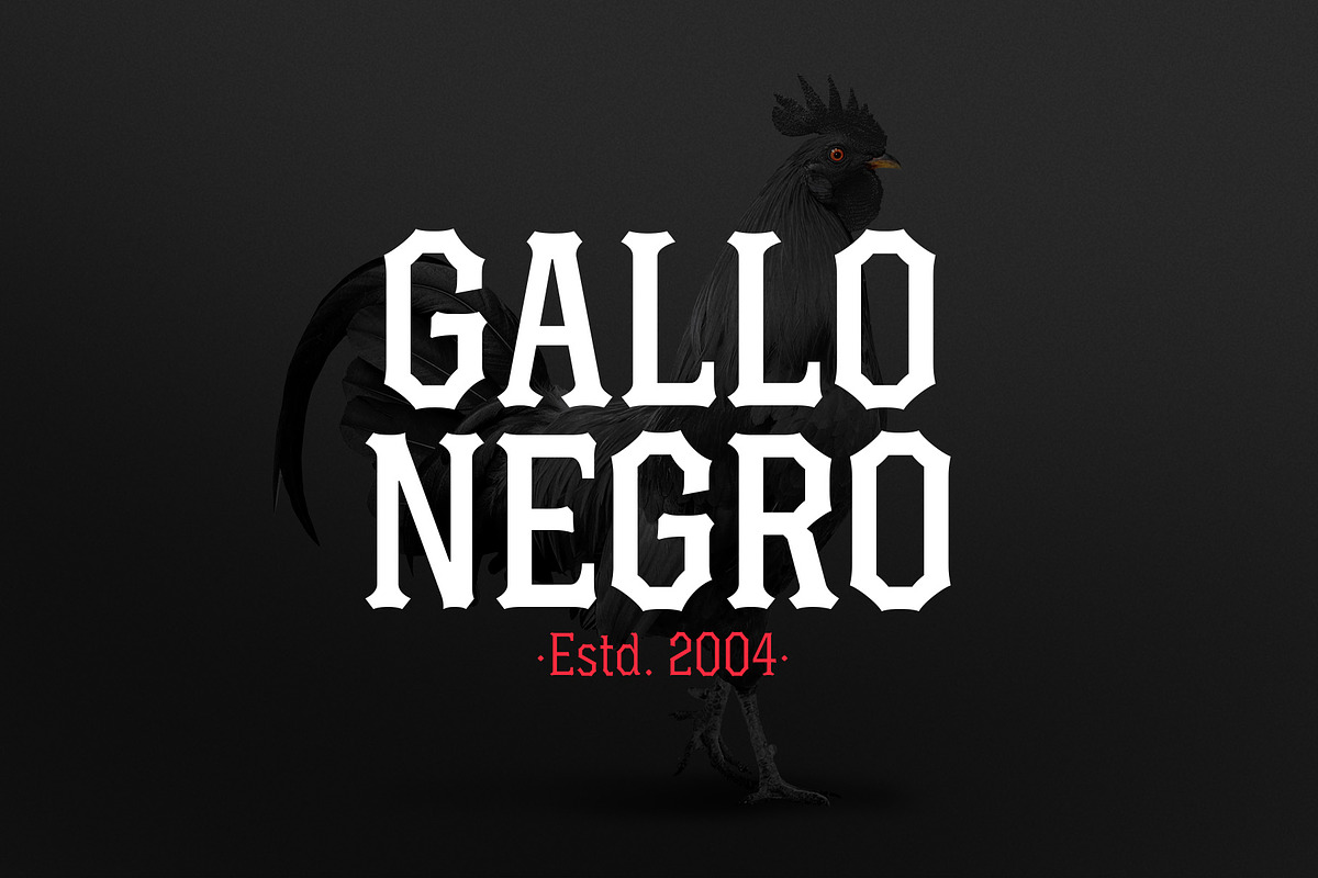 Gandul Clean, a Serif Font by YockMercado (Photo 2 of 7)
