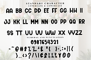 Point Beach, a Serif Font by FreshTypeINK (Thumbnail 3 of 7)