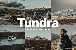 20 Tundra Lightroom Presets LUTs