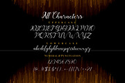 Havina Font, a Script Font by PutraCetol Studio (Thumbnail 9 of 12)