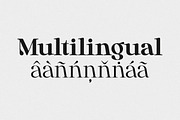 Anglica Serif, a Serif Font by Pista Mova (Thumbnail 14 of 14)