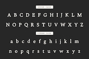 Shine Typewriter Serif Font, a Serif Font by Creativetacos (Thumbnail 6 of 10)