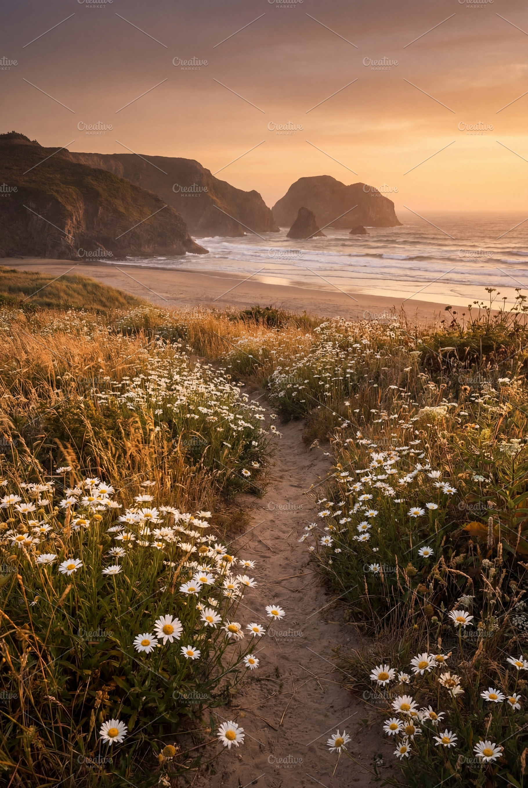 Coastal Path at Golden Hour, a Nature Photo by Virgo Studio