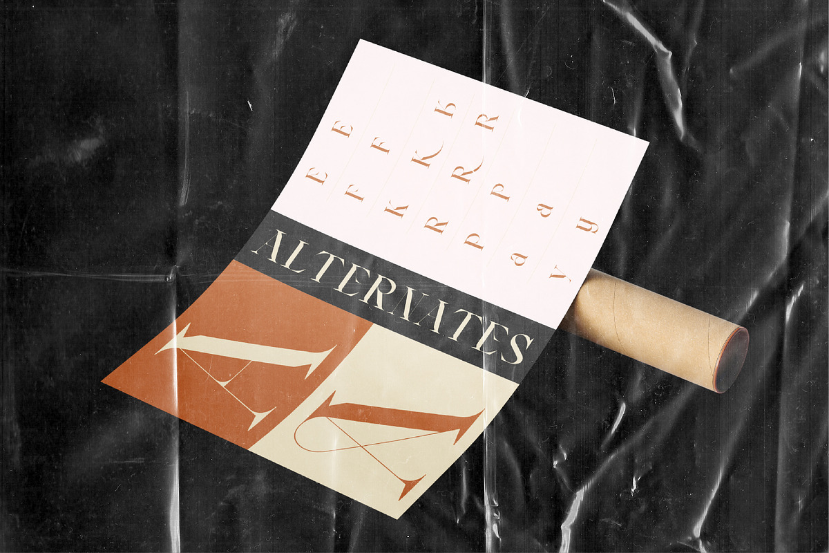 AO Leoney - Display Font Family, a Serif Font by OwunStudio (Photo 7 of 22)