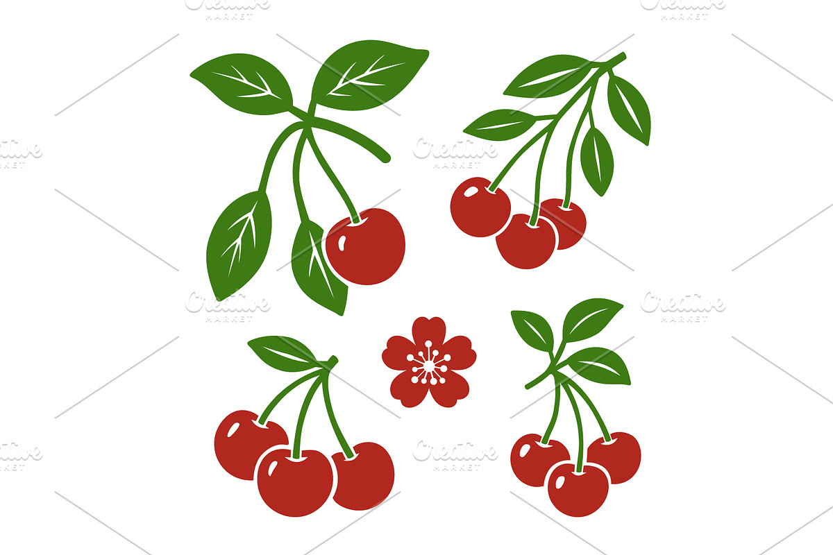 Cherry set with fruits, flowers and, a Food Illustration by GraphiShop