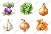 Watercolor Nature Vegetable Clipart, a Graphic by designcity5 (Thumbnail 3 of 5)