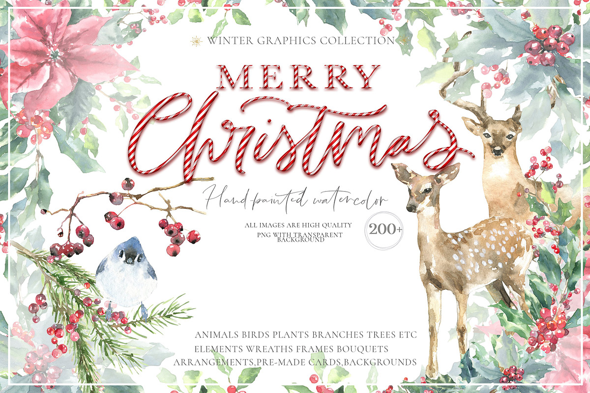 52in1 Whole Shop Bundle Watercolor, an Animal Illustration by Catherine Wheel (Photo 9 of 28)