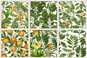 Tropical Botanical Seamless Pattern, a Pattern Graphic by mila_leev (Thumbnail 7 of 8)