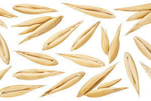 Oat seeds collection, a Food & Drink Photo by Max Lashcheuski