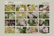 Delicate Blurry Floral Backgrounds, a Background Graphic by eclosque (Thumbnail 29 of 31)