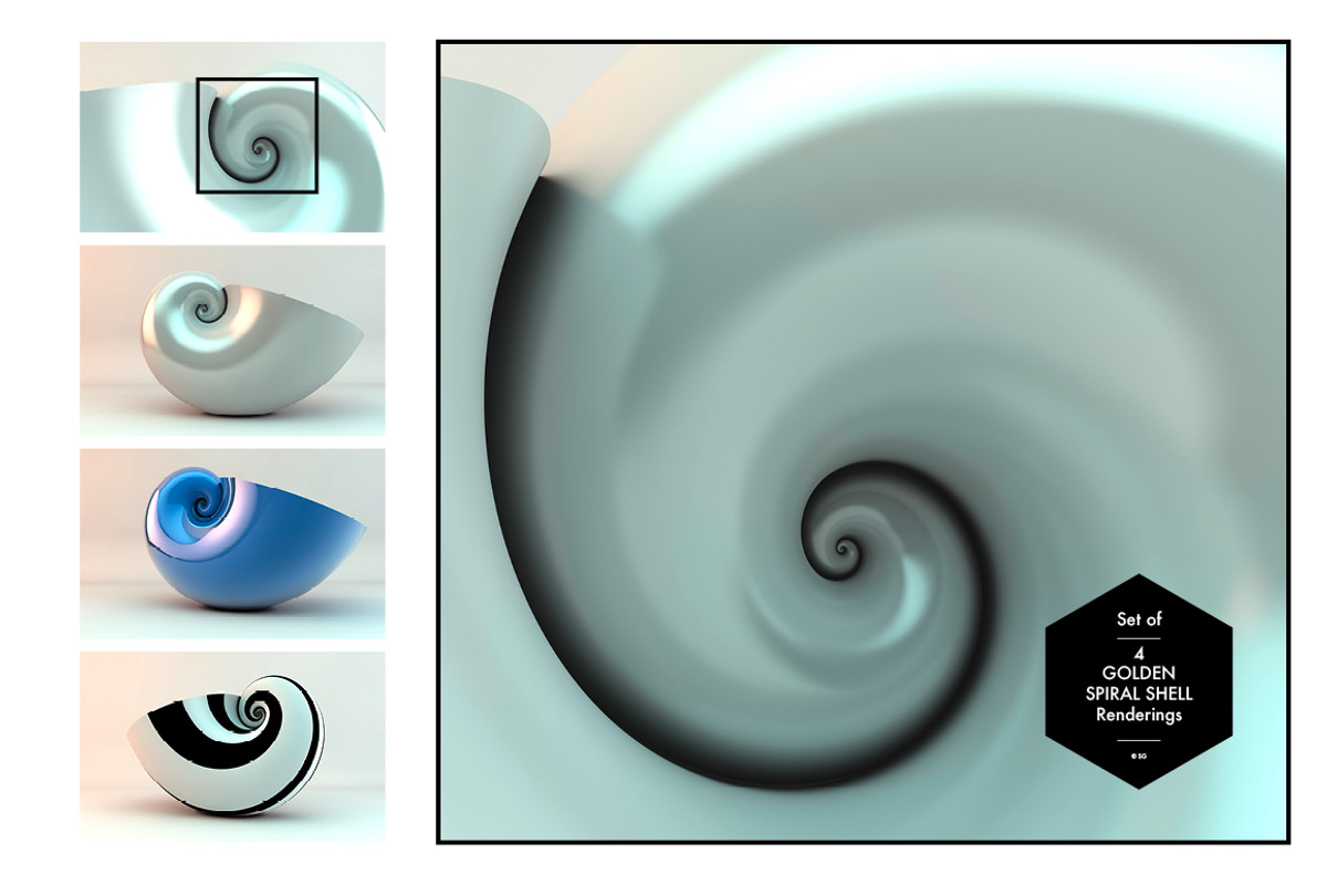 Golden Spiral Shell Set, a Graphic by helloSG (Photo 2 of 4)