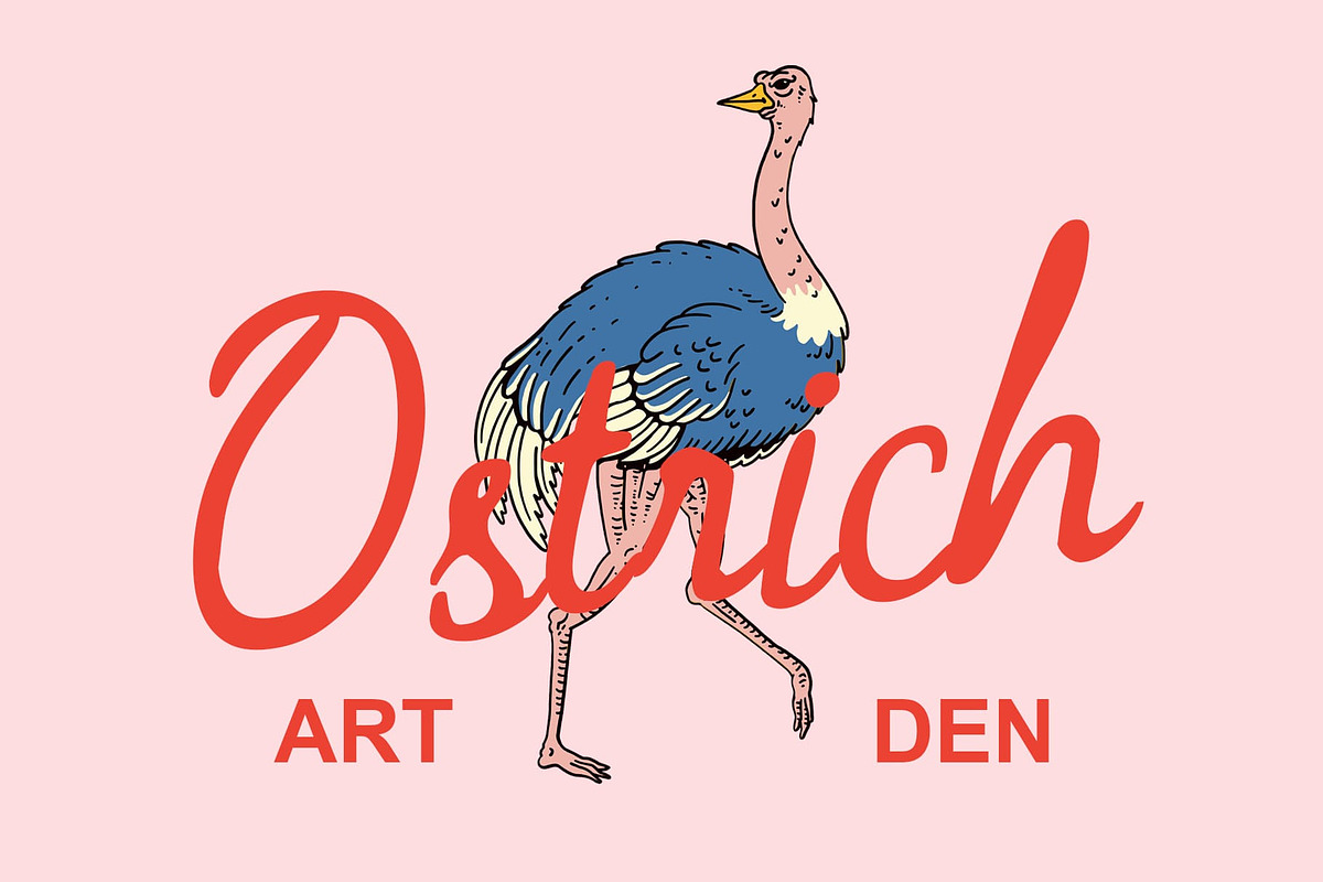 CS Blushing Drawn, a Script Font by Craft Supply Co. (Photo 3 of 8)
