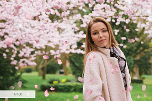 Cherry Blossom Photoshop Overlays