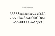Vigosamine Luxury Serif Font, a Serif Font by UICreative (Thumbnail 6 of 12)