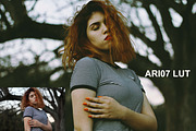Ariel Bourgoing Luts Pack, an Action Add-On by Bourgoing Presets (Thumbnail 4 of 4)