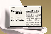 Euclid Serif | 180 Font Files, a Serif Font by Ws Studio (Thumbnail 11 of 12)