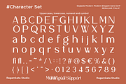 Seglade - Modern Elegant Font, a Sans Serif Font by RagamKata (Thumbnail 9 of 11)