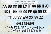 Summer, a Script Font by FreshTypeINK (Thumbnail 6 of 7)