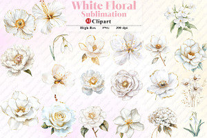 White Floral Clipart, an Illustration by Watercolor design
