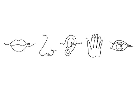 One line five human senses. Mouth to, a Healthcare Illustration by winwin.art