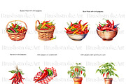 Chili Pepper Clipart, Red Pepper PNG, a Food Illustration by BrushstrokeArtGB (Thumbnail 2 of 9)