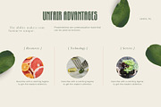 Blooming Greenery Typeface, a Sans Serif Font by Aditastudios (Thumbnail 7 of 10)