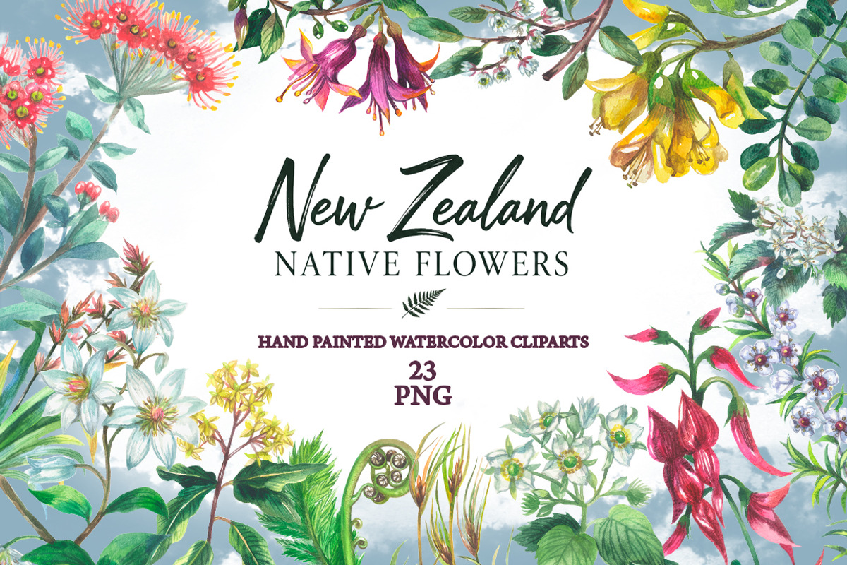New Zealand native flowers, a Decorative Illustration by FITALARTSNEDIGI (Photo 1 of 6)