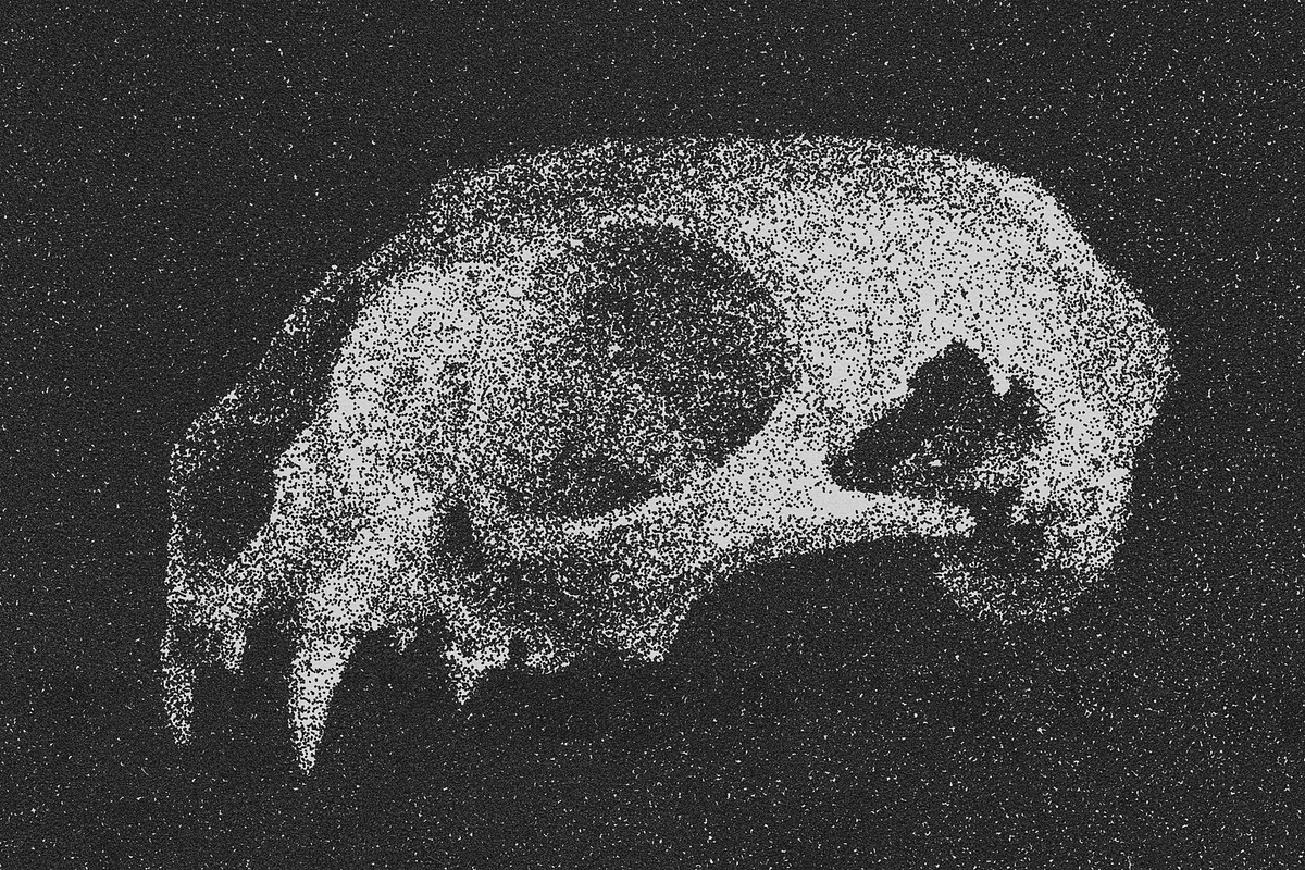 Vintage Stipple Pointillism Effect, a Layer Style Add-On by The Motel (Photo 3 of 7)