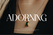 Lawsin Modern Serif Typeface Font, a Serif Font by catalystco.studio (Thumbnail 3 of 11)