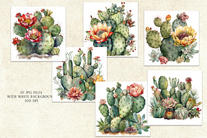 Blooming Cacti Clipart