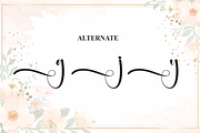 | Script Font, a Handwritten Font by Scratchones (Thumbnail 8 of 9)