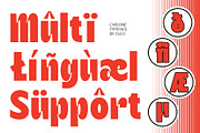 Carlone – Sans Serif Font, a Sans Serif Font by Craft Supply Co. (Thumbnail 7 of 8)
