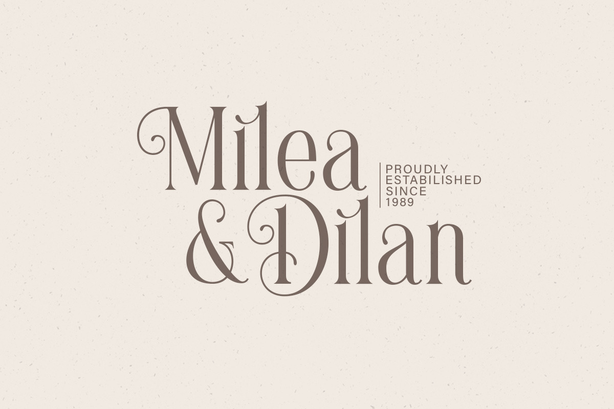 Brilliantly - A Stylish Serif, a Serif Font by Letterhend Studio (Photo 9 of 12)