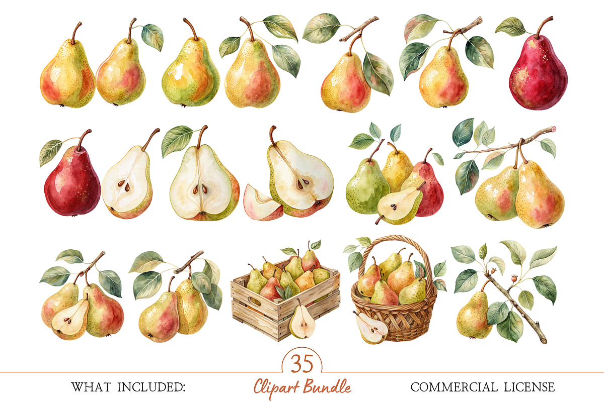 Autumn Pear Clipart PNG, an Object Illustration by MockupWizard (Photo 2 of 5)