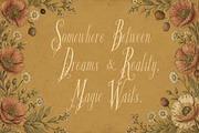 Glyphera Amber - Magical Story Font, a Handwritten Font by HypeWorksCo (Thumbnail 18 of 24)