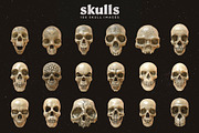 Skulls: 108 Skull Images, an Object Graphic by RuleByArt (Thumbnail 12 of 16)