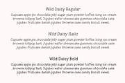 Wild Daisy Cute Font, a Handwritten Font by Sofia Skoog (Thumbnail 11 of 11)