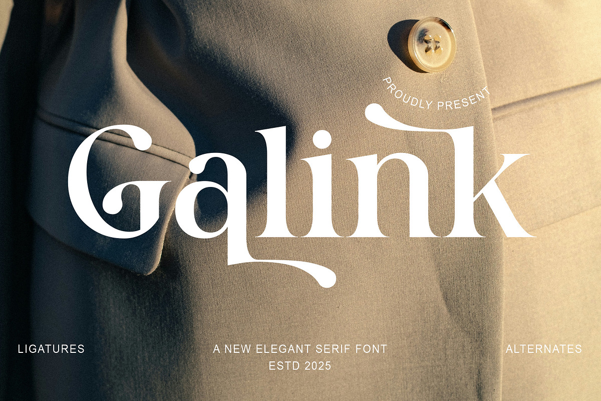 Galink New Elegant  Serif, a Serif Font by Muflieart (Photo 1 of 9)