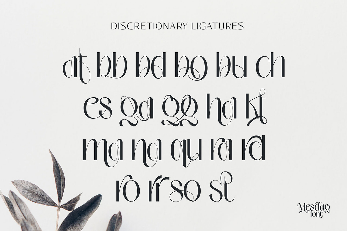 Mesdag Font - unique and chic family, a Sans Serif Font by creativemedialab (Photo 7 of 14)