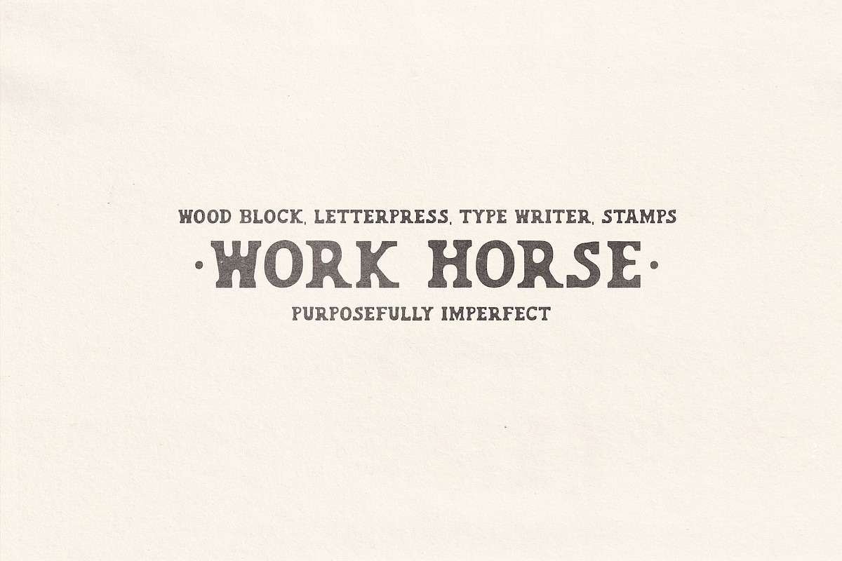 Work Horse – Vintage Wood Serif Font, a Slab Serif Font by Madeline ODonoghue Design (Photo 5 of 5)