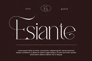 Vamike Serif Font