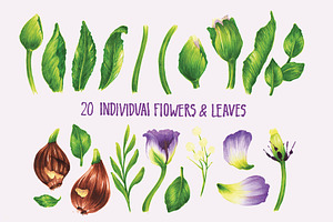 Vector Set Of Violet Tulips