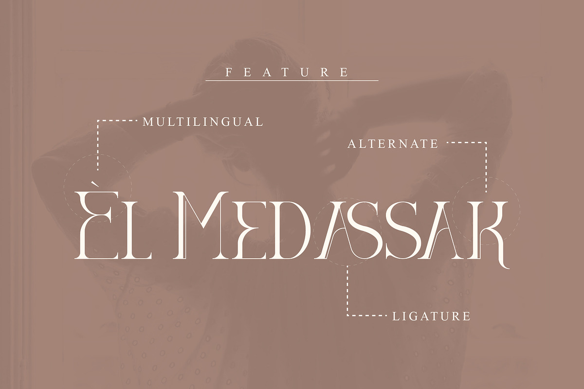 DIEGO Modern Serif Font Display, a Serif Font by Storytype Studio (Photo 12 of 15)